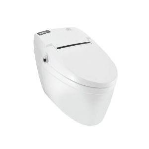 Picture of Fully Automatic Floor Mounted WC