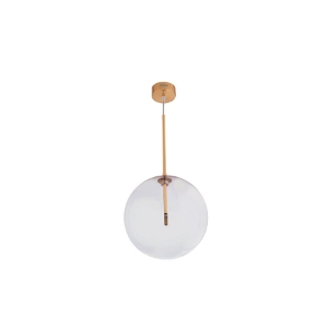 Picture of 1 Light Clear Glass Ceiling Light