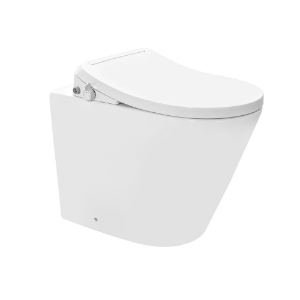 Picture of Bidspa Rimless Back To Wall WC
