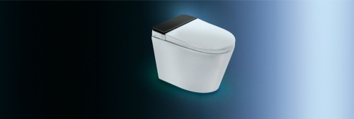 Signs To Replace Toilet Seat