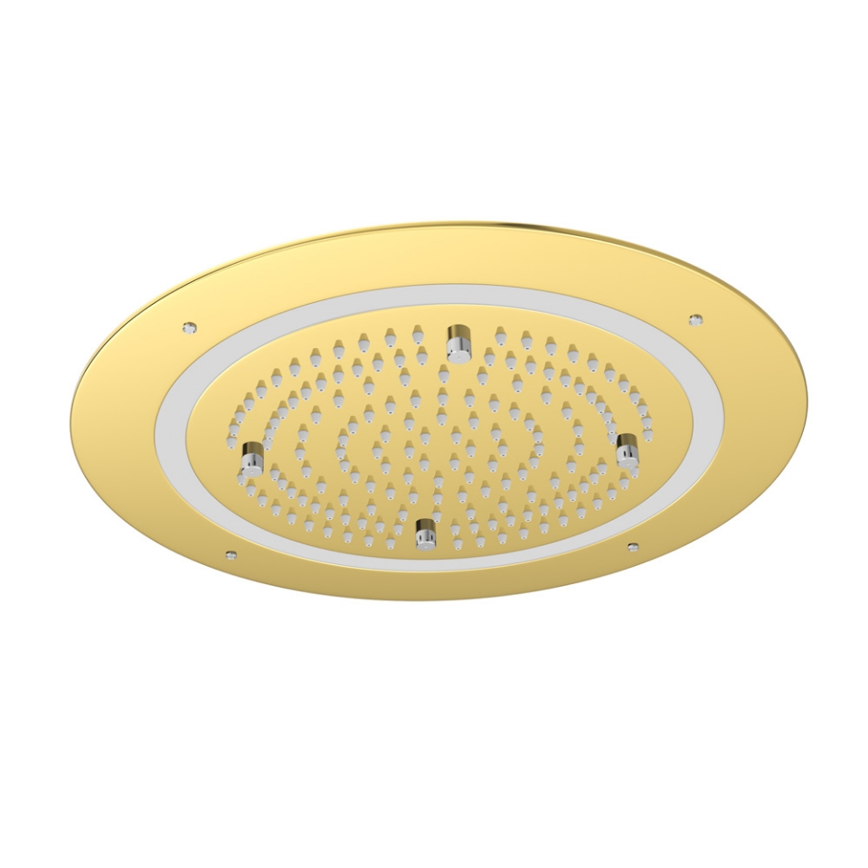 Picture of Duoflo Shower Round Shape - Gold Bright PVD
