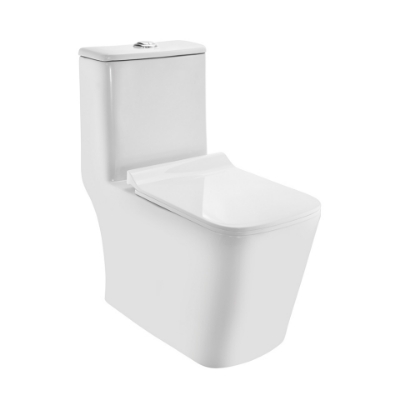 Picture of Rimless Single Piece WC